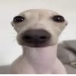 SeperatedFromReality