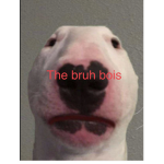 The Bruh Robloxians