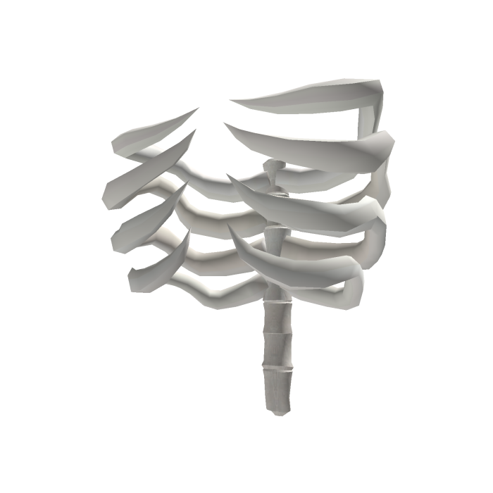 Exo skeleton ribs with a spiky spine