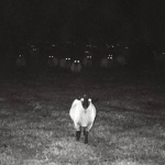 The Lamb Family :)