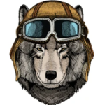 The W.O.L.V.E.S Military
