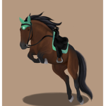 Black Out Riding Academy