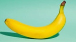 BANANA CULT!!!!!!!!!!!!!!!