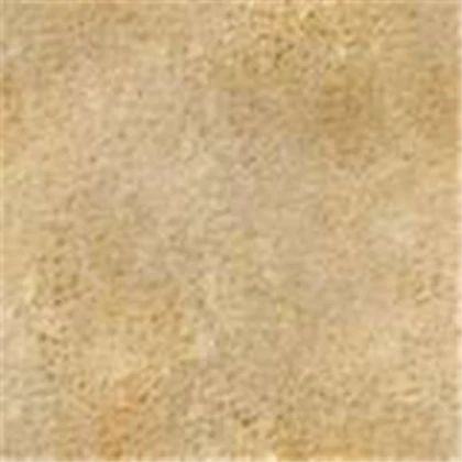 Sand Texture