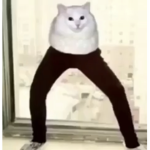 EPICCCccCccCccCcCccCcC group
