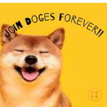 Doges Forever!!