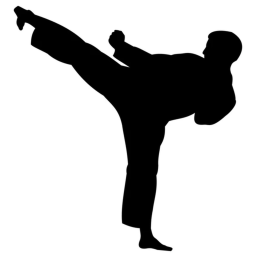 Taekwondo Brawl