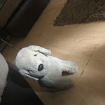 I play with my doggy