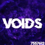 THE V0IDS