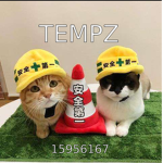 Tempz;
