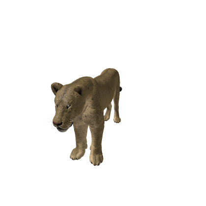 cub