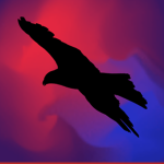 FlyVin