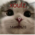 xouzl.