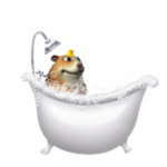 Bath Tub Chomik