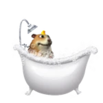 Bath Tub Chomik