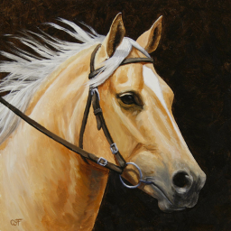 -Old Oak Stables-