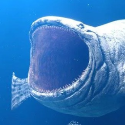 underwater icon