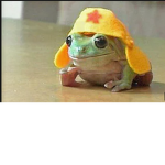 Frog Clothing INC.