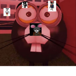 Rats meeting home