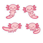 The Axolotl Kitchen