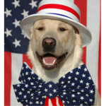 Doge Army [DA]