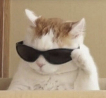 MEOWKATZE