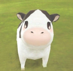 SoCow!
