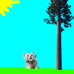 Koci pazur MIAŁ