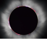 DarkMattersOmnicity