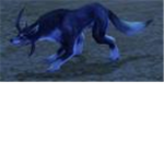 Sharptooth Wolves