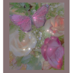 lilli’s sunshines