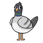 cult of the pigeon Group Thumbnail