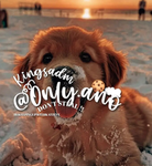 Sunny.Anastacio(official)