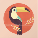 the team toucan