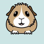 .Team Guinea Pig.
