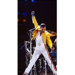The Freddie Mercury Group