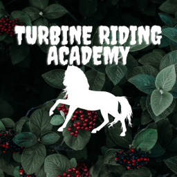 Turbine Riding Academy