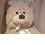 Teddy's for life