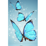 Beautiful Fluttering butterflies