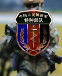 中原猛虎特战旅