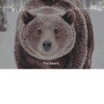 JazzBear