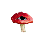 Mushroom Council