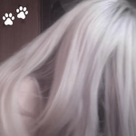 ‘ miau