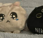 Sad cat and happy cat