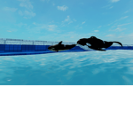 -oceanic-