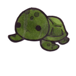 Turtle Team :D