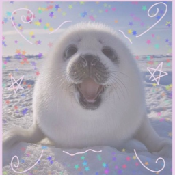 ˚. ꒱୨ ⊹  🦴