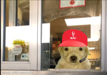 Doge party hangout