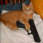 Kittytovian Emipre