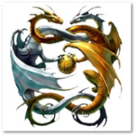 The Dragon Warriors